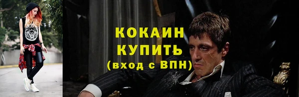 прущие грибы Беломорск
