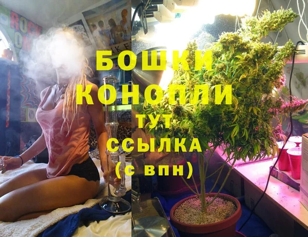 прущие грибы Беломорск