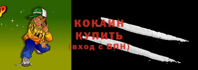 прущие грибы Беломорск