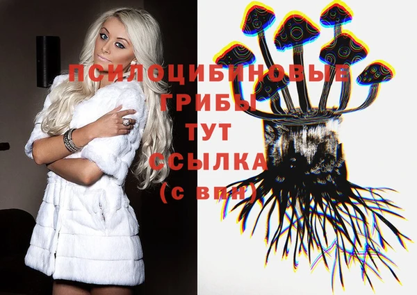 прущие грибы Беломорск
