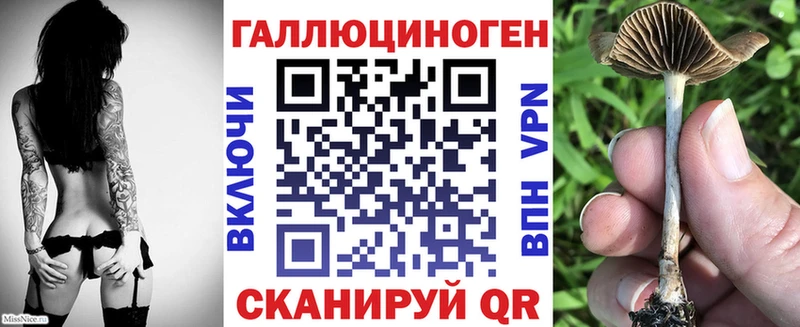 Псилоцибиновые грибы Psilocybe  omg сайт  Козельск 