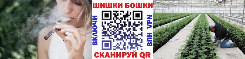Бошки марихуана индика  МЕГА маркетплейс  Козельск 